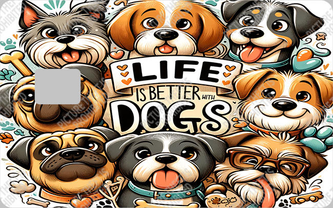 Bank  Card Sticker-BC-88